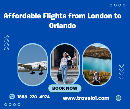 Plan Your Dream Journey with Smart Flight Choices and Travelo1